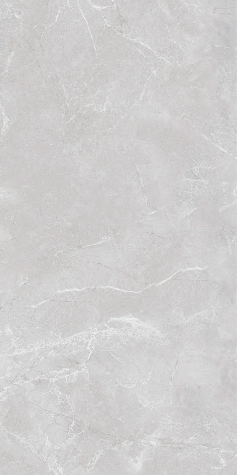 丽雅灰 QHGA85006产品图